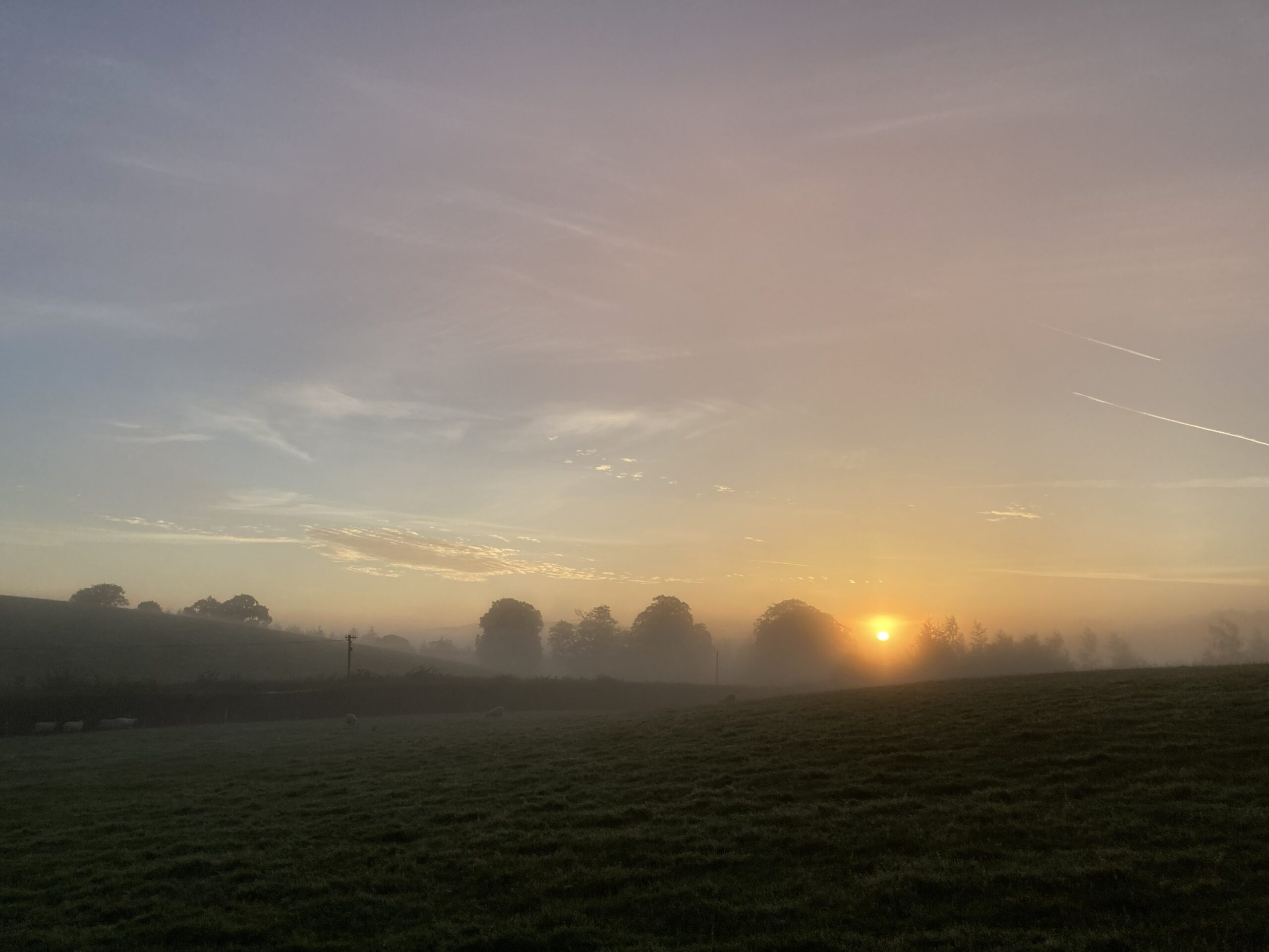 sunrise